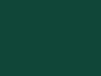 RAL 6005